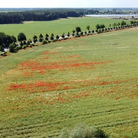 Premium Ulf-dieter Kunstmann