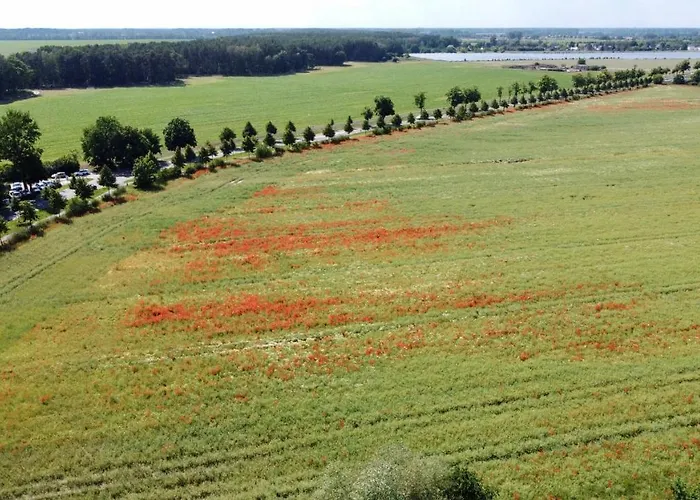 Premium Ulf-dieter Kunstmann