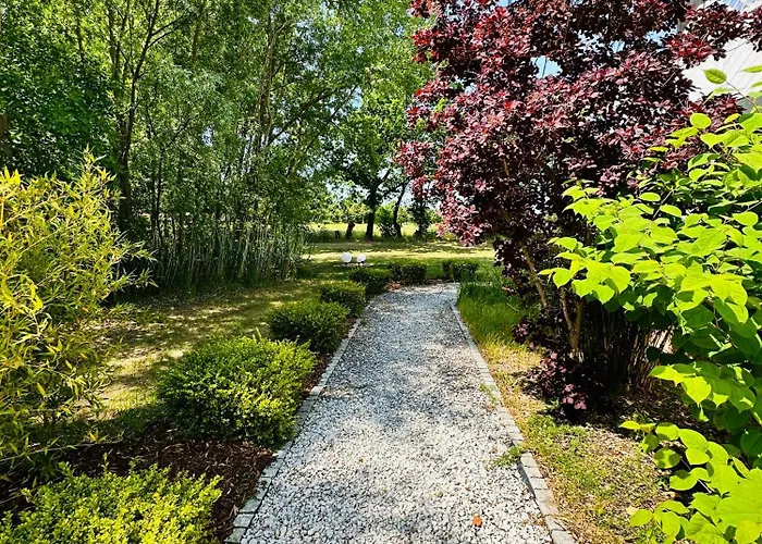 Daire Premium Ulf-dieter Kunstmann *